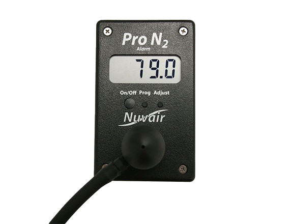 N2